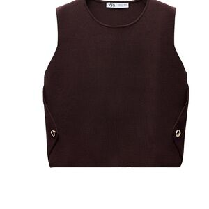 Zara Women's Dark Brown Crop Top